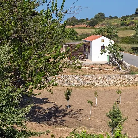 The Pigeon House *